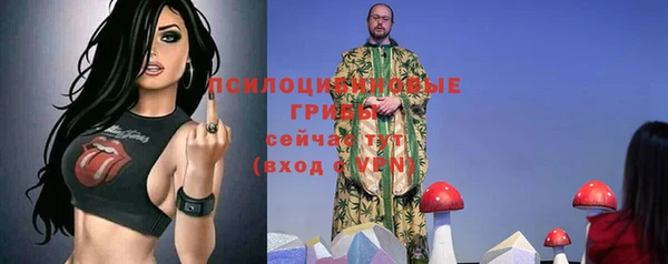 таблы Алзамай