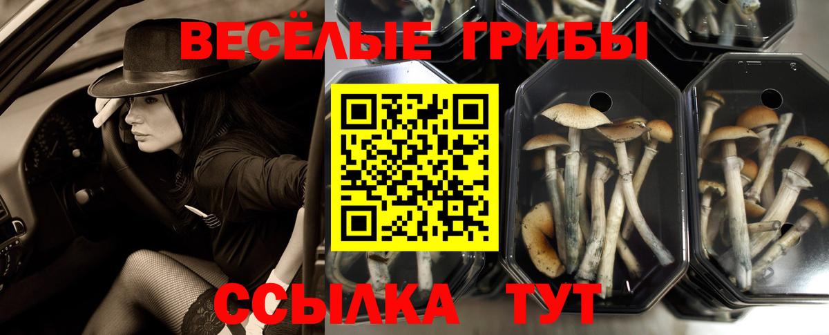 Ефремов  Псилоцибиновые грибы GOLDEN TEACHER  Псилоцибиновые грибы GOLDEN TEACHER  Вход с VPN 